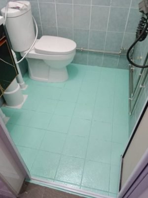 pic1