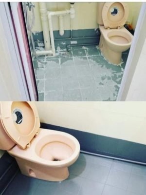 pic3